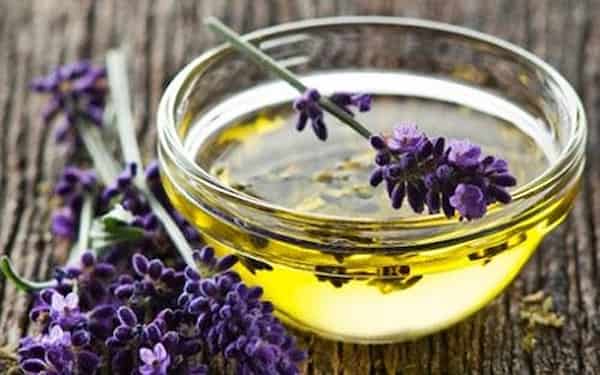 تصویر 4 از خرید و فروش گل گاوزبان اسطوخودوس با شرایط فوق العاده